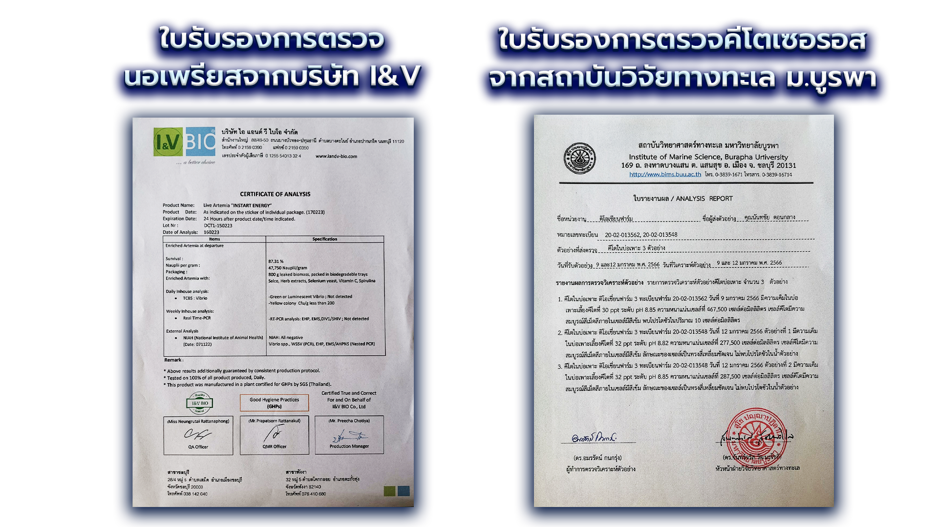 นอเพรียส I&V , คีโต (1)