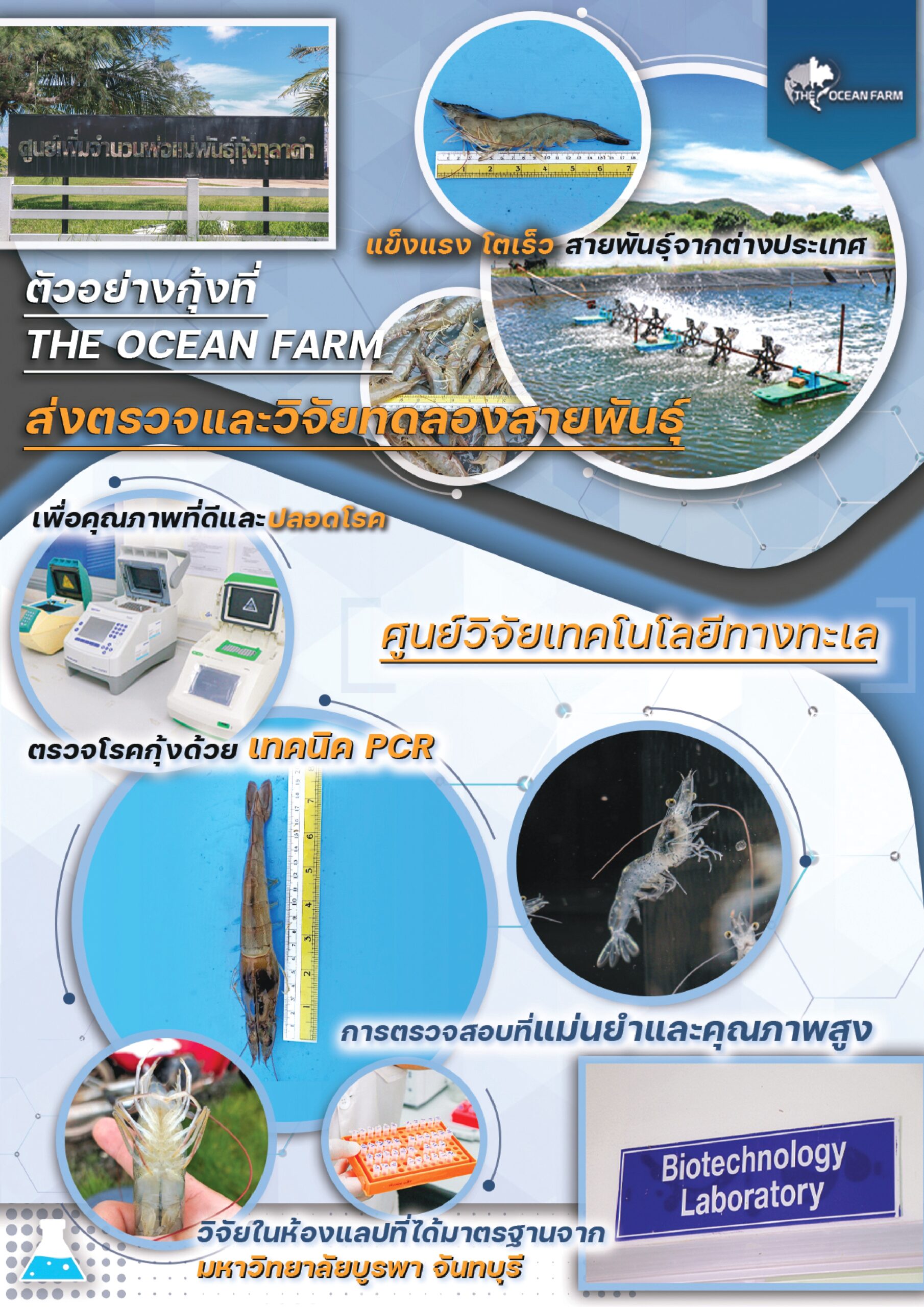 brochure ศูนย์วิจัยเทคโนโลยีทางทะเล Page2_page-0001