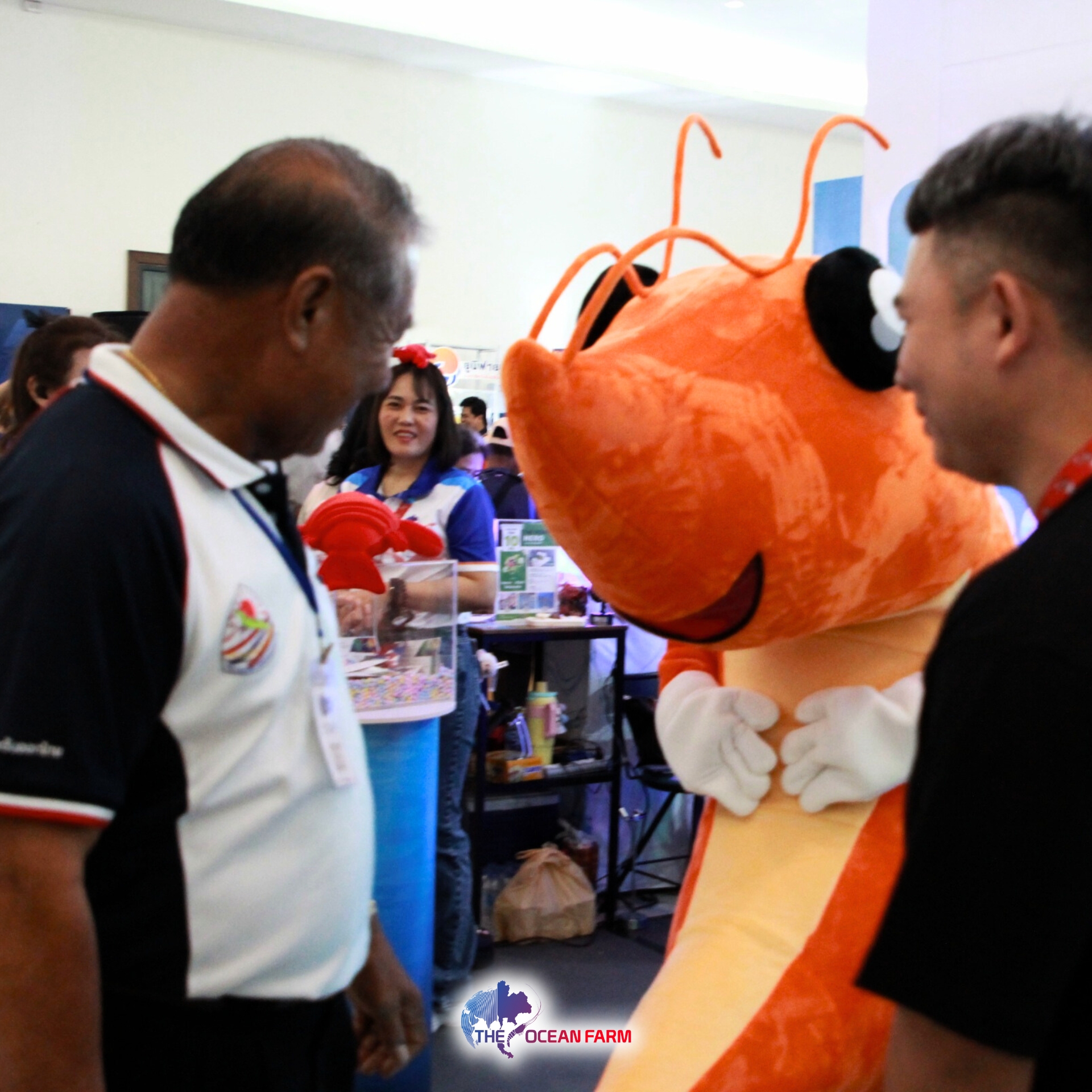485333553_1263826402198106_1172219930707903544_n 485333553_1263826402198106_1172219930707903544_n