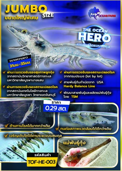 jumbo-100 jumbo-100